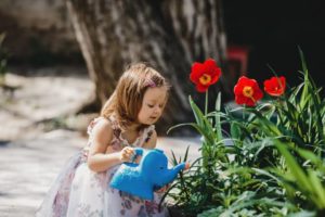 bonus giardini 2019